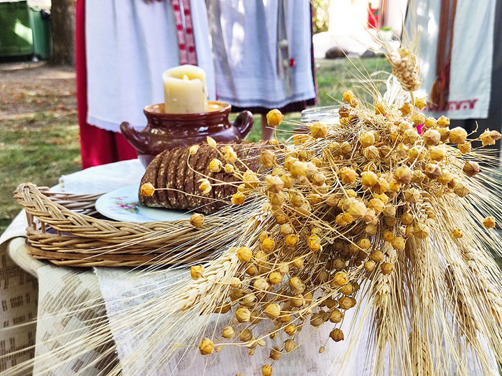 Традыцыйным восеньскім беларускім абрадам “Багач” завяршыўся Тыдзень беларускай культуры  