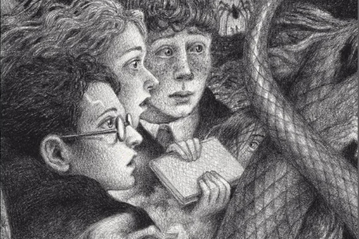 Беларусы стварылі петыцыю да праваўладальнікаў «Гары Потэра», каб яго можна было выдаваць па-беларуску ў Польшчы