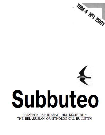 Subbuteo 4