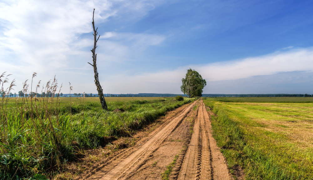 Пад знакам Пагоні 11.04.2021