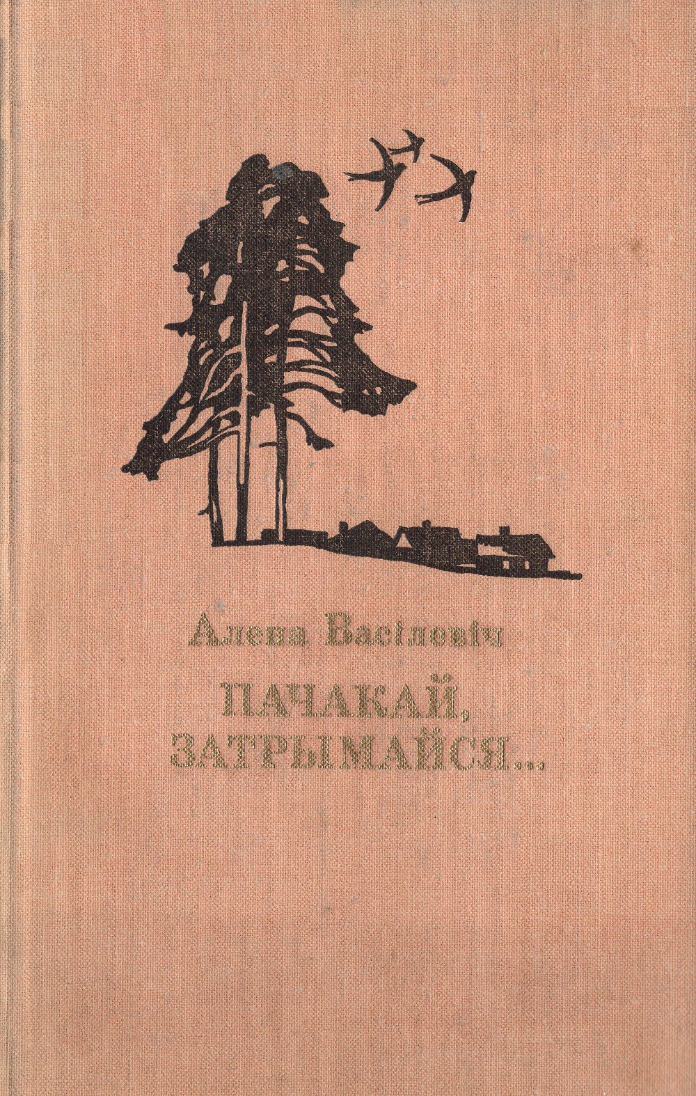 Пачакай, затрымайся...