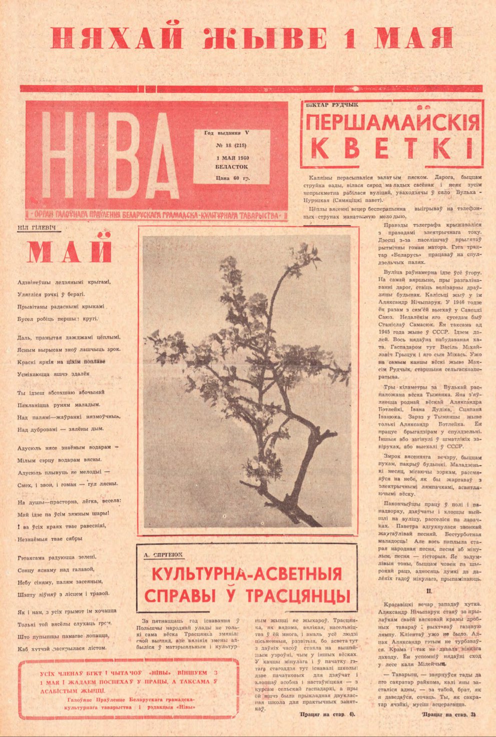 Ніва 18 (218) 1960