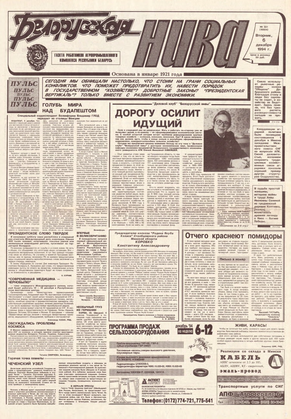 Белорусская нива 221 (15504) 1994