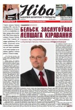 Ніва 2010/46 (2844)