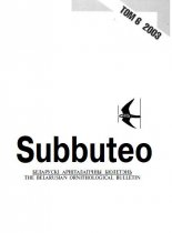 Subbuteo 6