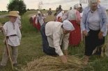 Беларусы ў Польшчы 06.08.2012