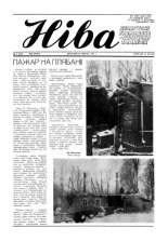 Ніва 08 (1815) 1991