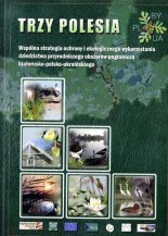 Trzy Polesia
