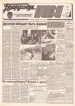 Белорусская нива 186 (15037) 1992